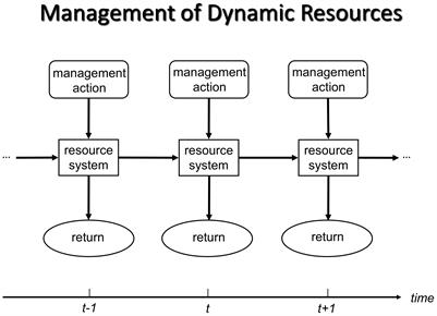 Habitat management decisions for conservation: a conceptual framework